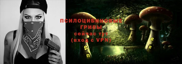 шишки Волоколамск