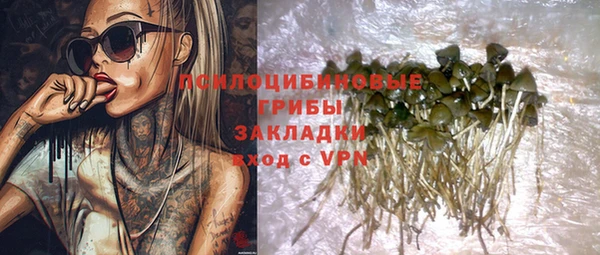шишки Волоколамск