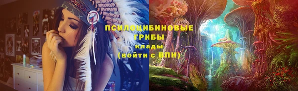 шишки Волоколамск