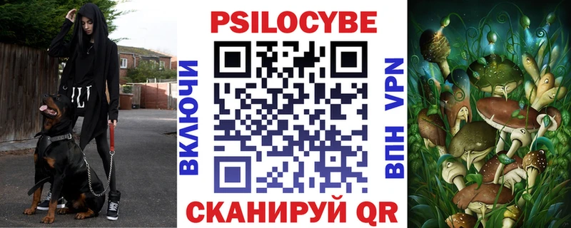 Купить где  Красноуральск  Псилоцибиновые грибы Cubensis 